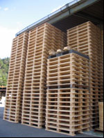 �M�����p���b�g